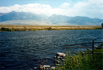 The upper Madison River